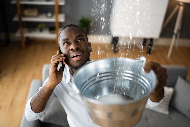 Best 24-hour water damage restoration  in Grizzly Flats, CA