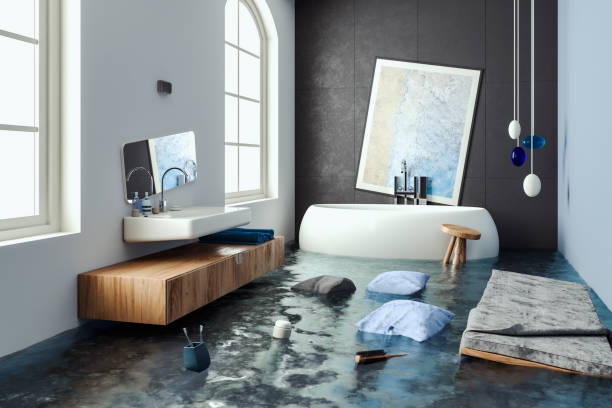 Best Flooded house restoration  in Grizzly Flats, CA