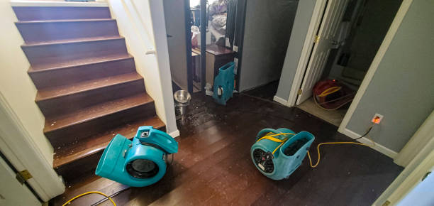 Best Water damage contractors near me  in Grizzly Flats, CA