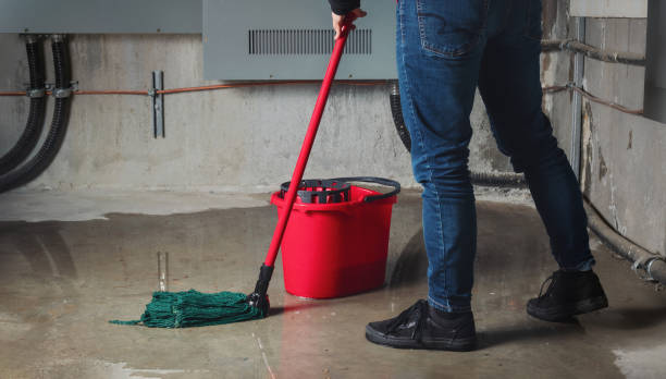 Best Water damage repair service  in Grizzly Flats, CA