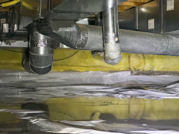 Best Ceiling water damage repair  in Grizzly Flats, CA