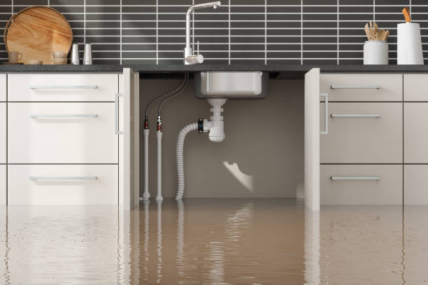Best Flood damage cleanup  in Grizzly Flats, CA