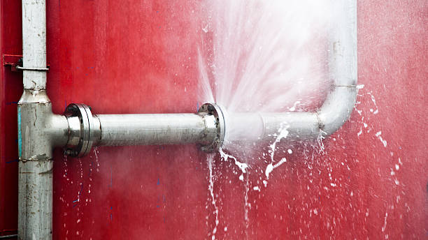 Best Basement water damage restoration  in Grizzly Flats, CA